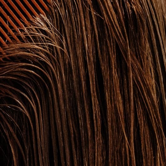 Glaze and Blowdry at Bellani Beauty in Englewood, NJ
